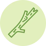 Frame 44